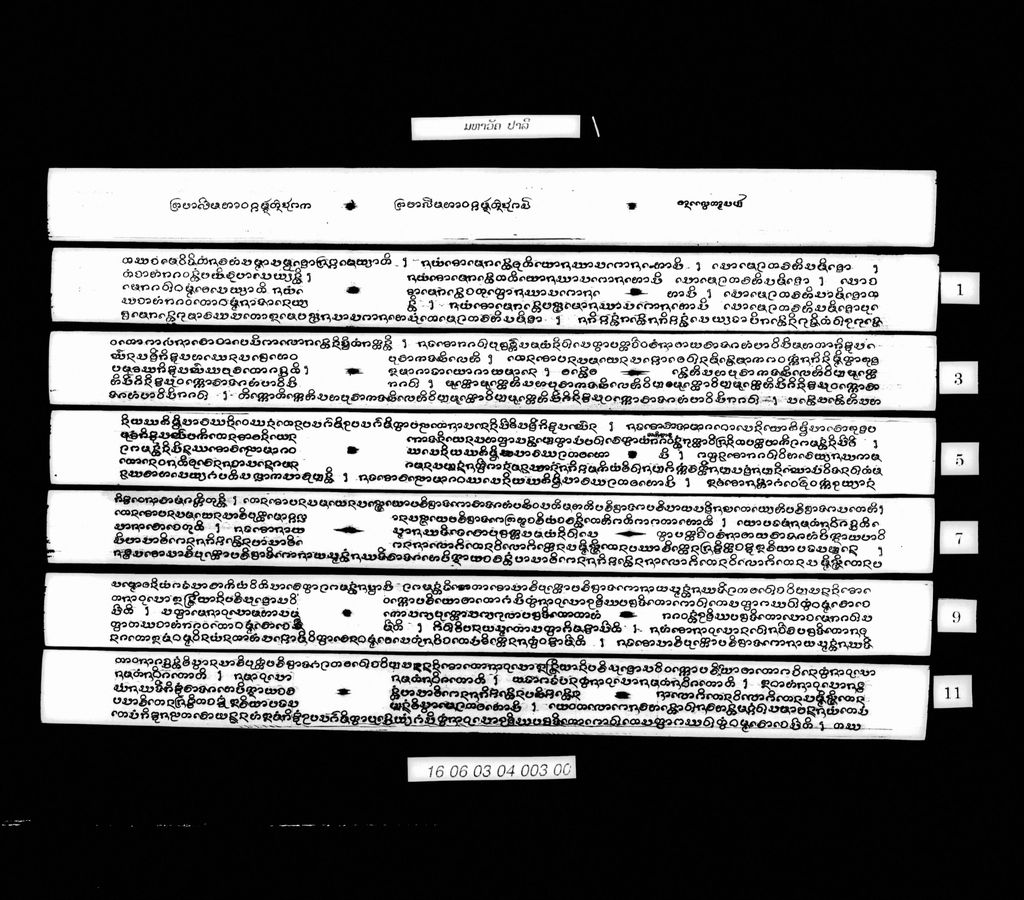 ມຫາວັຄ (ປາລີ) ມັດຕົ້ນ