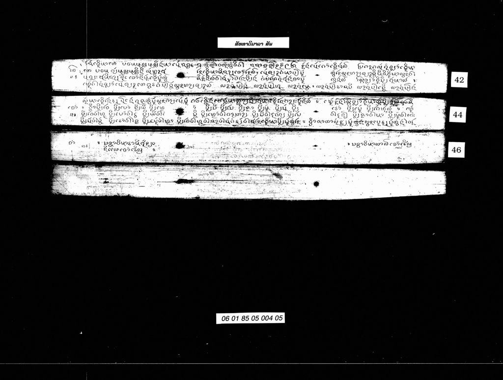 ສັທທາວິມາລາ ( ສັພ )