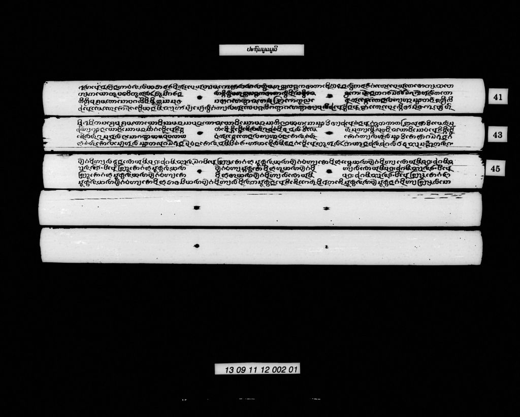 ປະຖົມມູລມູລີ