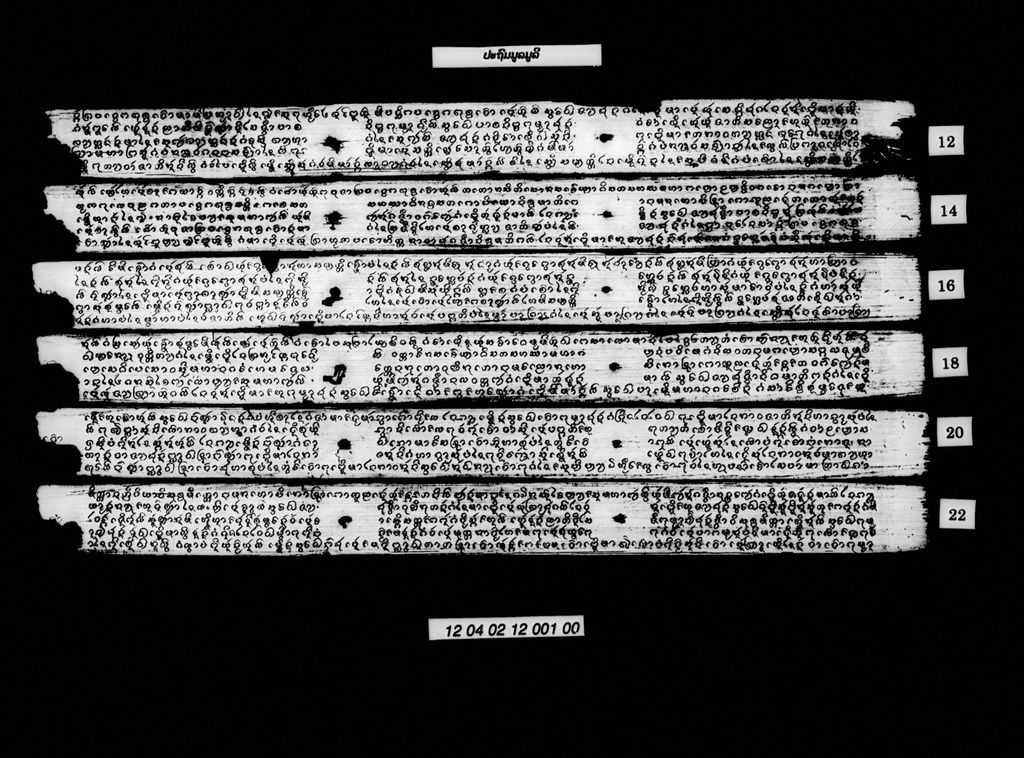 ປະຖົມມູລມູລີ