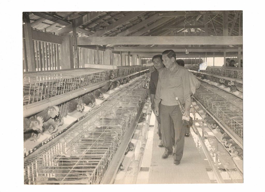 ທ່ານ ຈູມ​ມະ​ລີ ໄຊ​ຍະ​ສອນ ເຂົ້າ​ຢ້ຽມ​ໂຄງ​ການ​ລ້ຽງ​ໄກ່ ປີ 1999