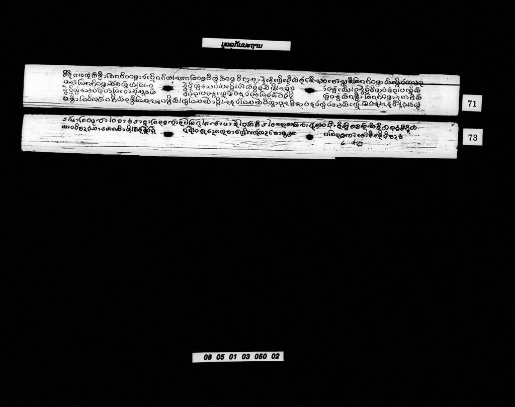 ມູລລະກັມມະຖານ