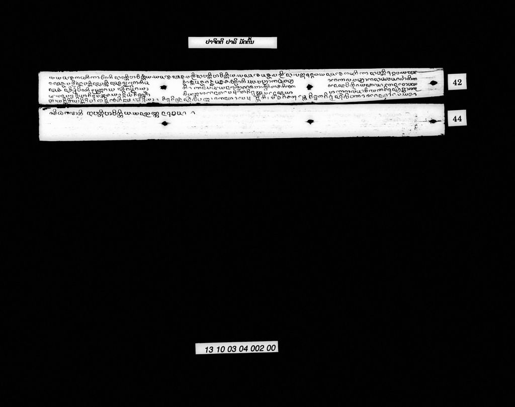 ປາຈິຕຕີ (ປາລີ) ມັດຕົ້ນ