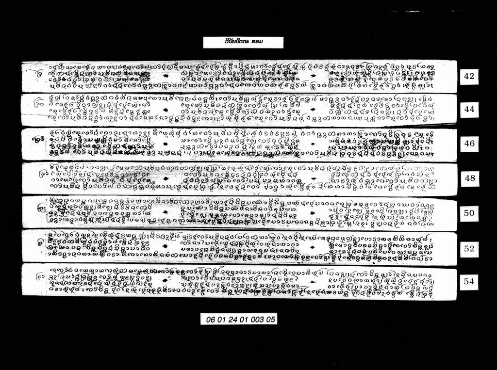 ວິນັຍຍະປິຕກະ (ຮອມ)