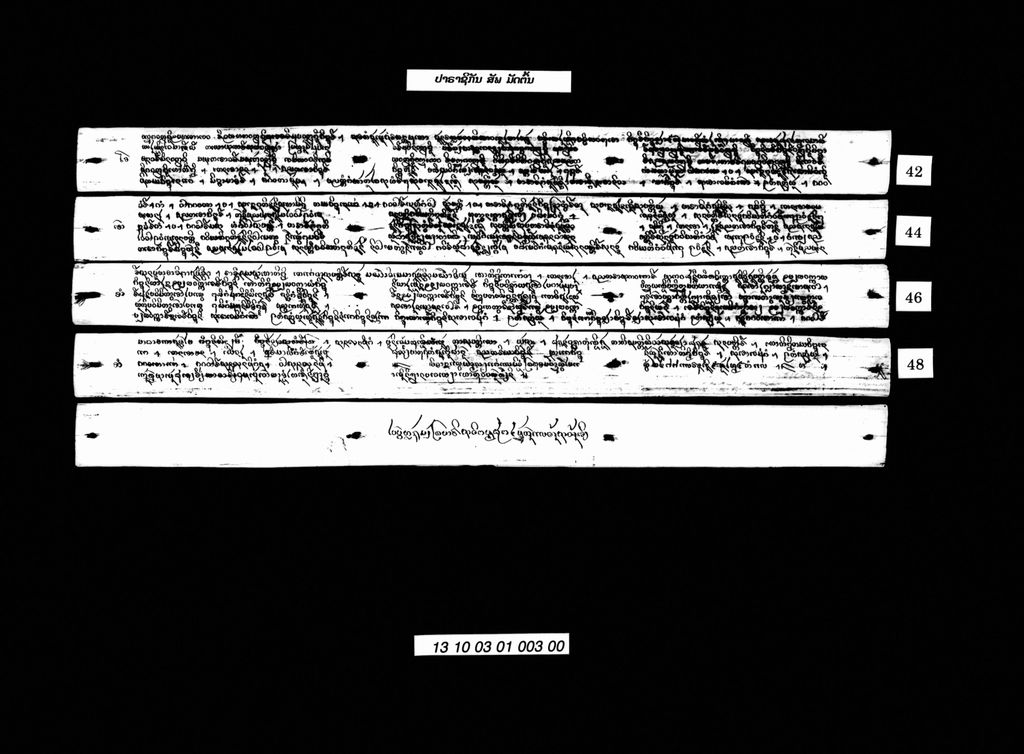 ປາຣາຊິກັນ (ສັພ) ມັດຕົ້ນ