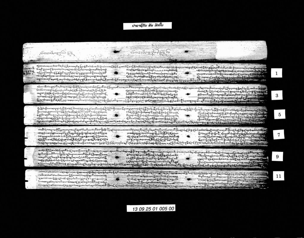 ປາຣາຊິກັນ (ສັພ) ມັດຕົ້ນ