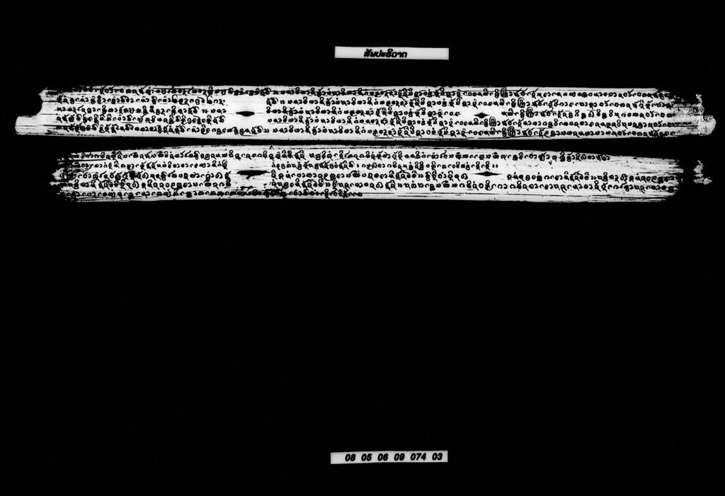 ສັພປະຣິວາດ