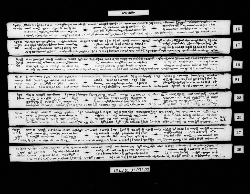 ປາຣາຊິກັນ (ສັພ)