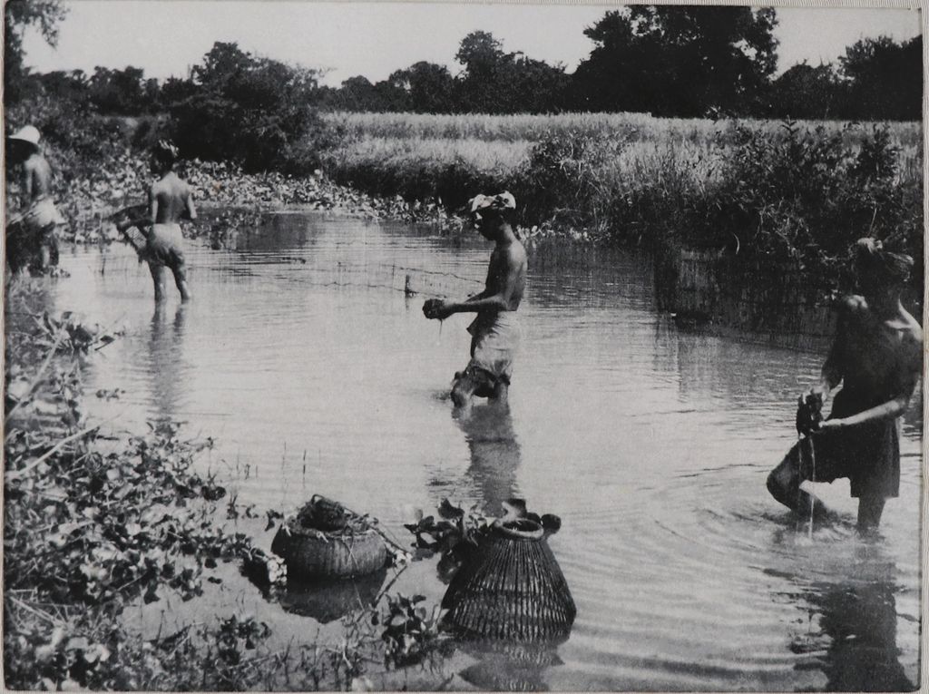 ຮູບພາບຂາວດໍາ ປະຊາຊົນກໍາລັງຫາປາ ປີ 1951