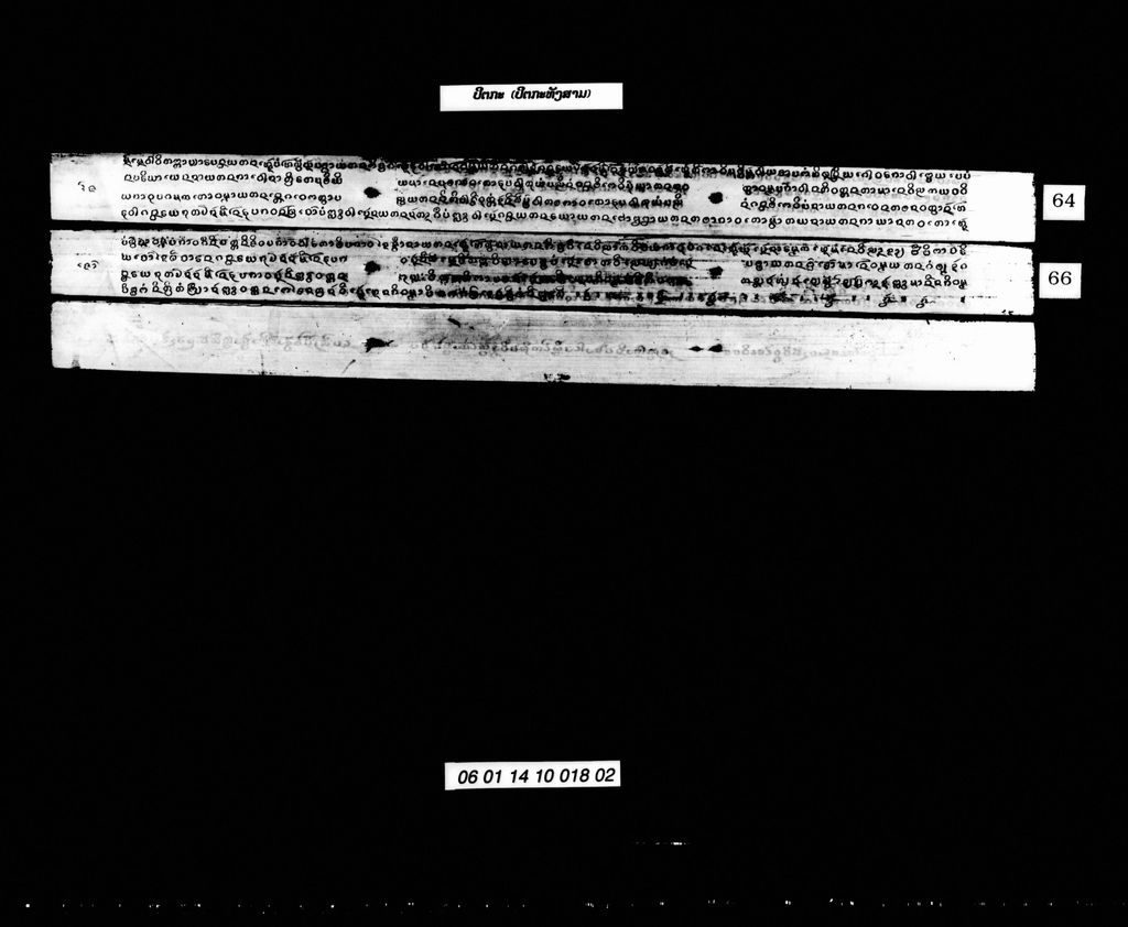 ປິຕກະ (ປິຕກະທັງສາມ)