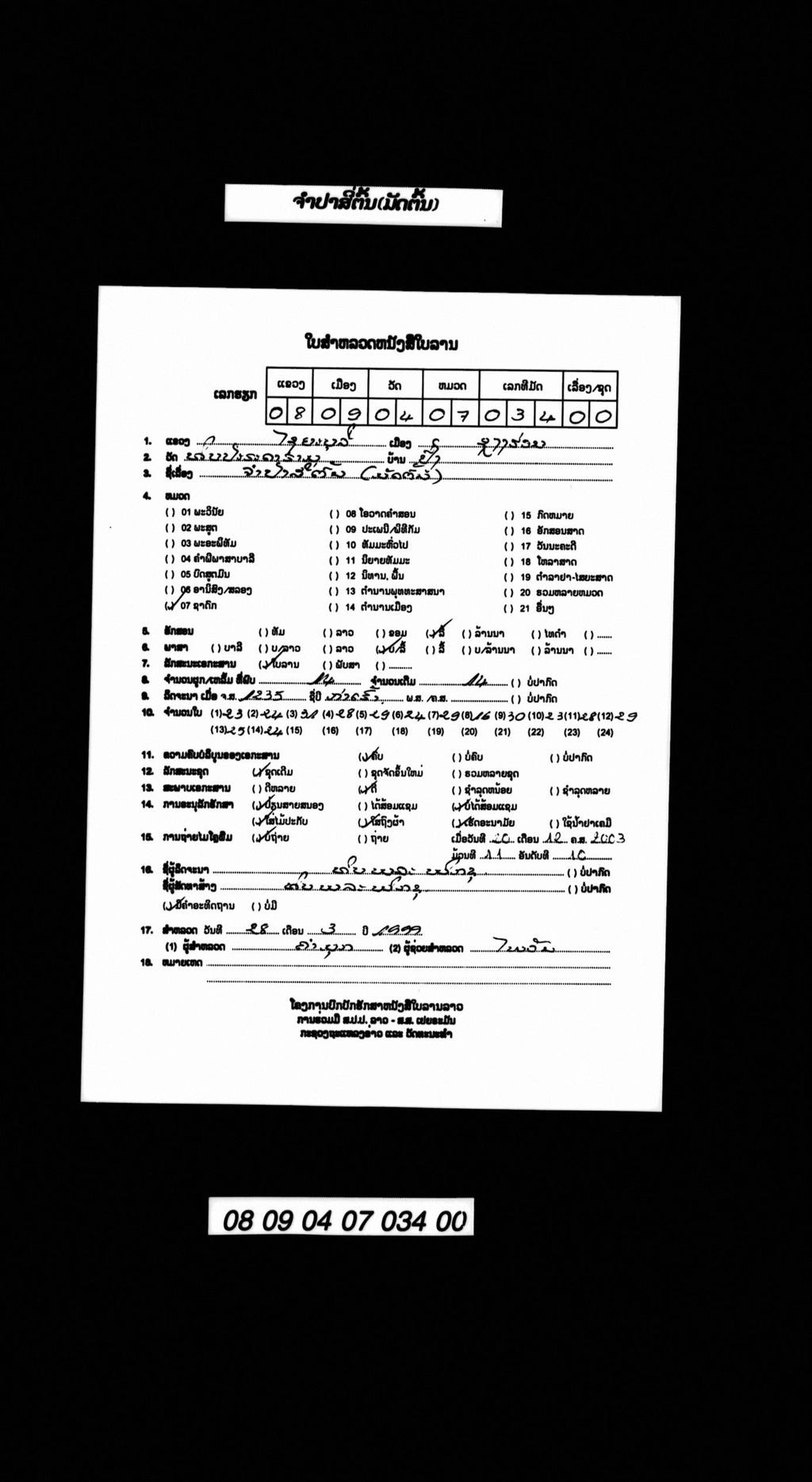 ຈຳປາສີ່ຕົ້ນ (ມັດຕົ້ນ)