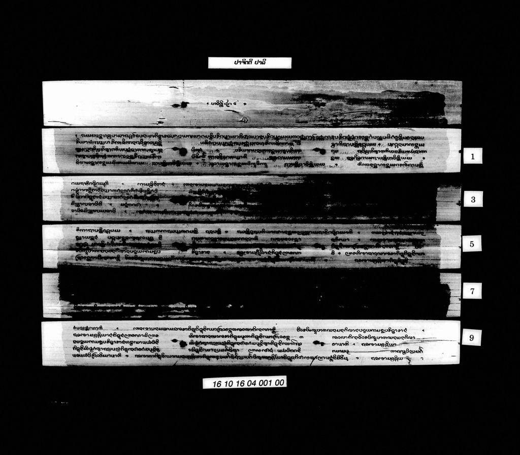 ປາຈິຕຕີ (ປາລີ)