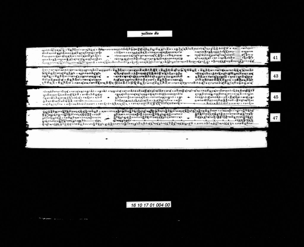 ຈຸລວັຄຄະ (ສັພ)