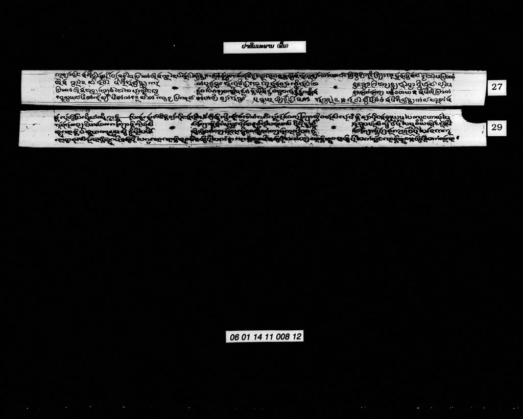 ປ່າຫິມມະພານ (ພື້ນ)