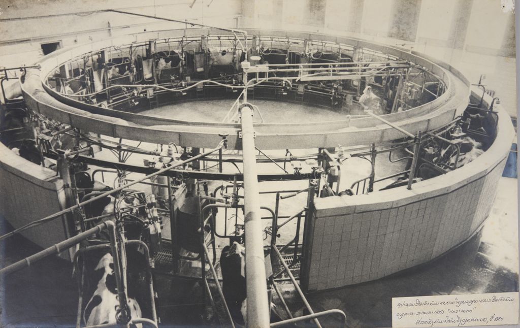 ອຸ​ປະ​ກອນ​ຮີດ​ນ້ຳ​ນົມ