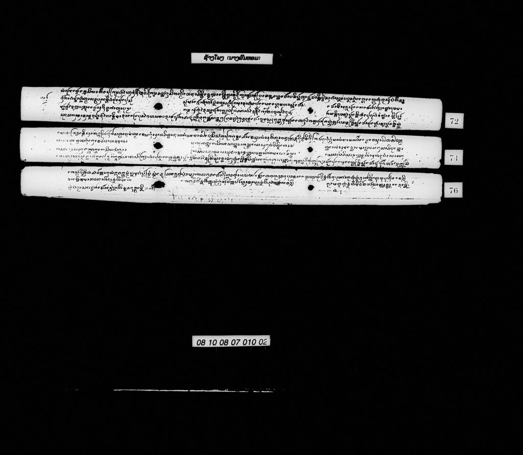 ຊ້າງໂພງ (ນາງຜົມຫອມ)