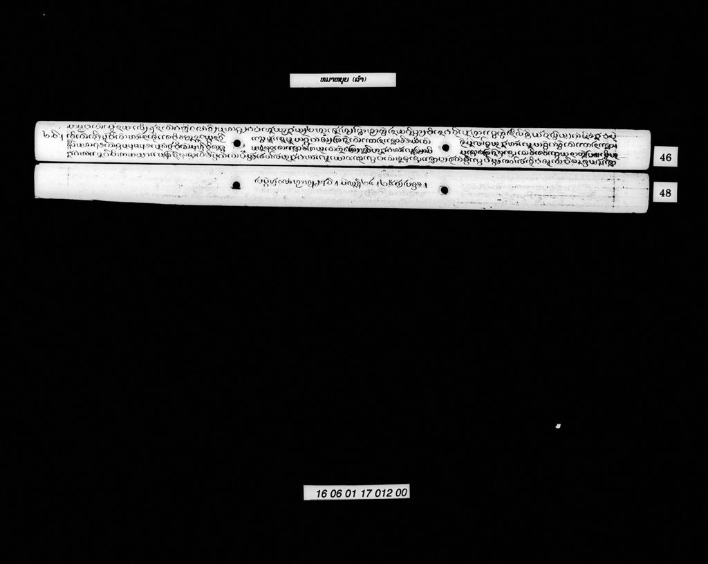 ໝາຫຍຸຍ (ລຳ)