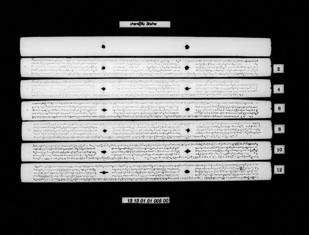 ປາຣາຊິກັນ (ມັດປາຍ)