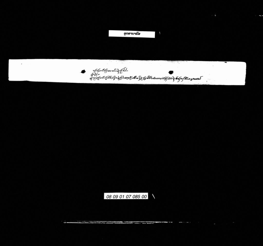 ພຸທທາພິເສກ (ສັພ)