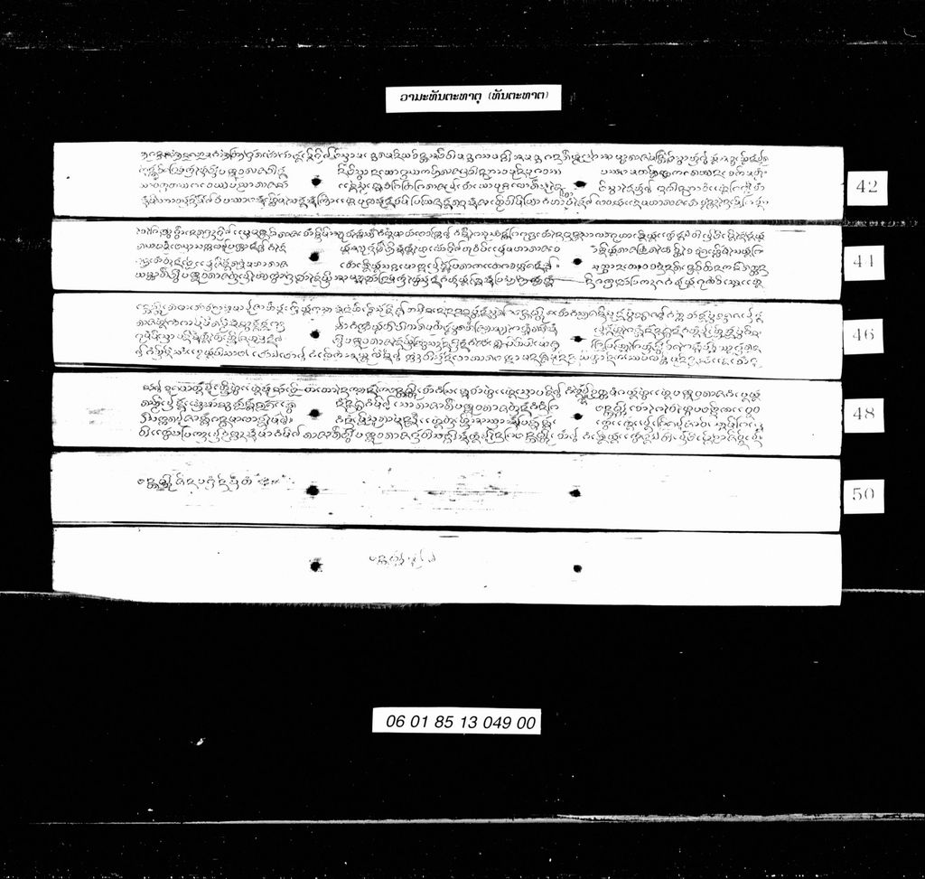 ວາມະທັນຕະທາຕ ( ທັນຕະທາຕ )