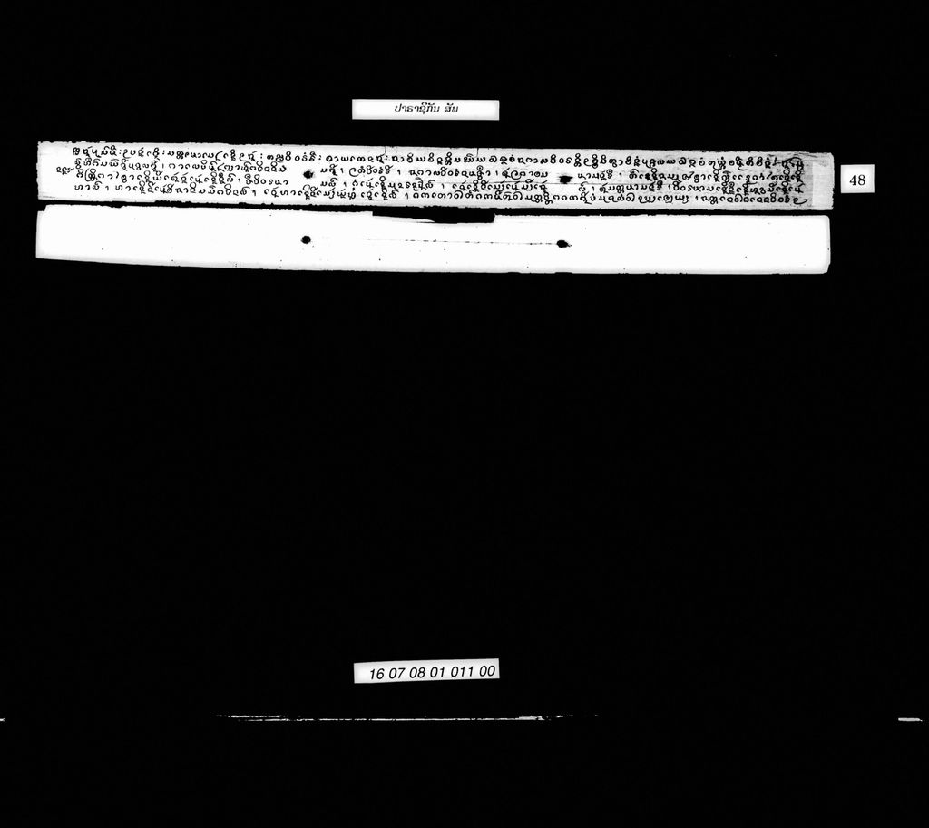 ປາຣາຊິກັນ (ສັພ)