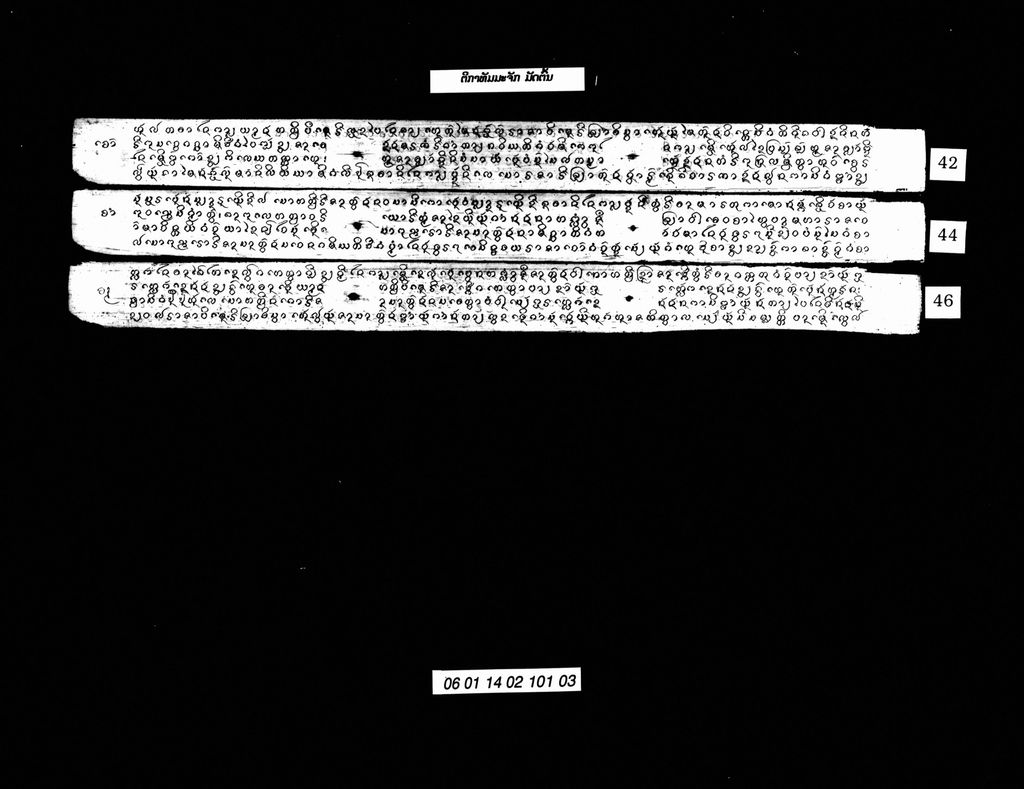 ຕີກາທັມມະຈັກ ມັດຕົ້ນ