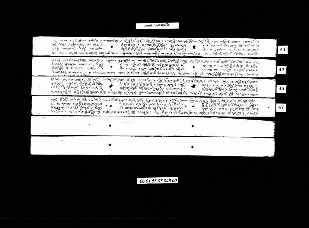 ຊະນົກ ( ມະຫາຊະນົກ )