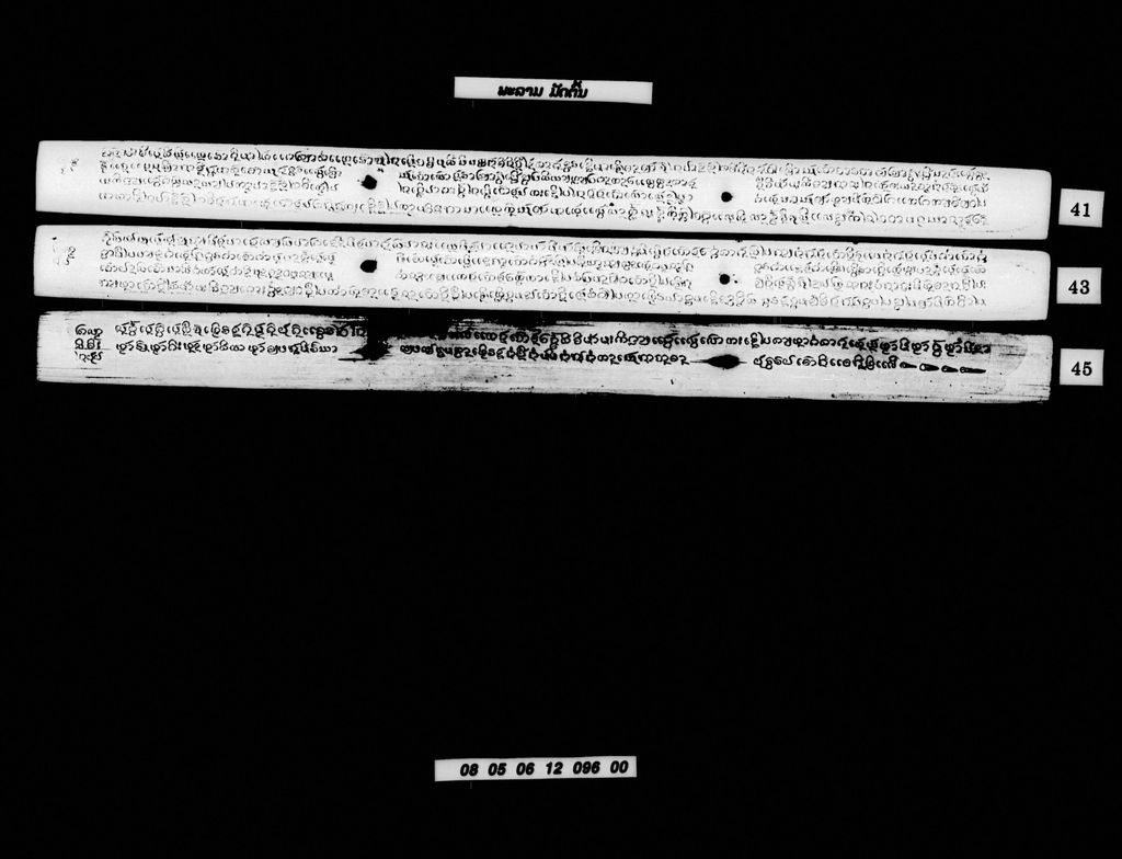 ພະລາມ (ມັດຕົ້ນ)