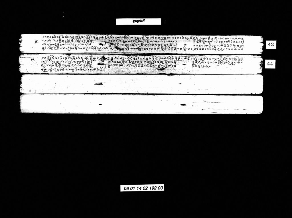 ຊຸມພູປະຕິ