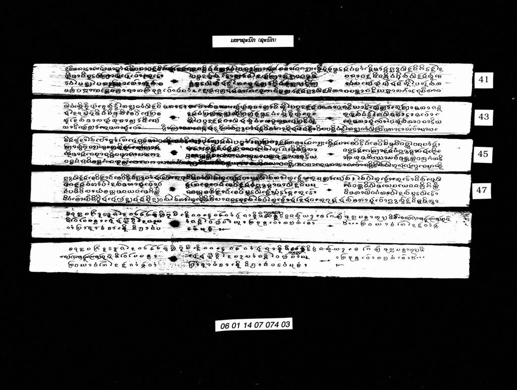 ມຫາຊະນົກ (ຊະນົກ)