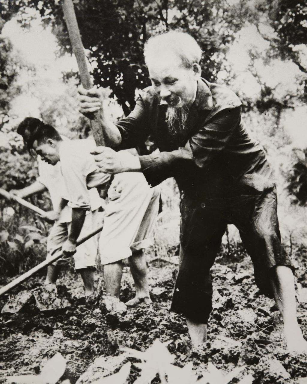 ລຸງ​ໂຮ​ຈິ​ມິນ ຈົກ​ດິນ​ປູກ​ຜັກ​ ຢຸ່​ໃນ​ສວນ​ສະ​ພາ​ປະ​ທານ​ປະ​ເທດ