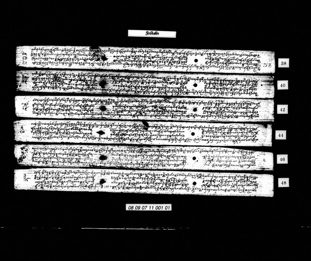 ງົວນົນທົກ