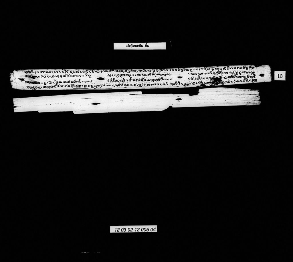 ປະຖົມມະກັບ (ພື້ນ)