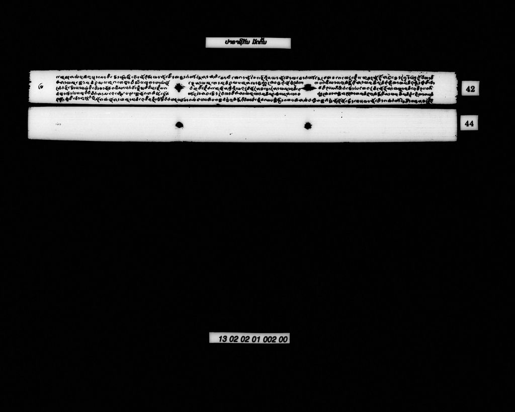 ປາຣາຊິກັນ (ມັດຕົ້ນ)