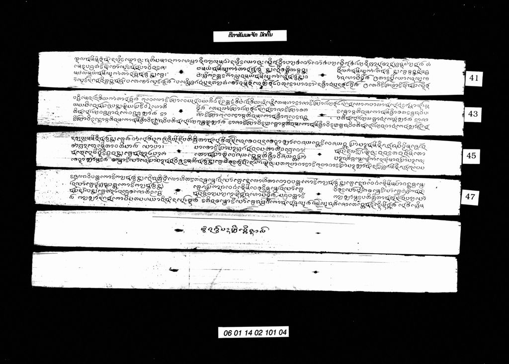 ຕີກາທັມມະຈັກ ມັດຕົ້ນ