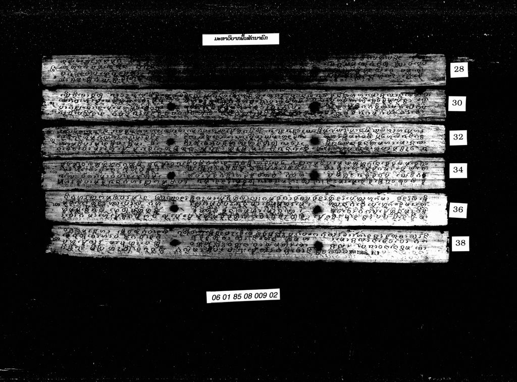 ມະຫາວິບາກພື້ນສັດນາຣົກ