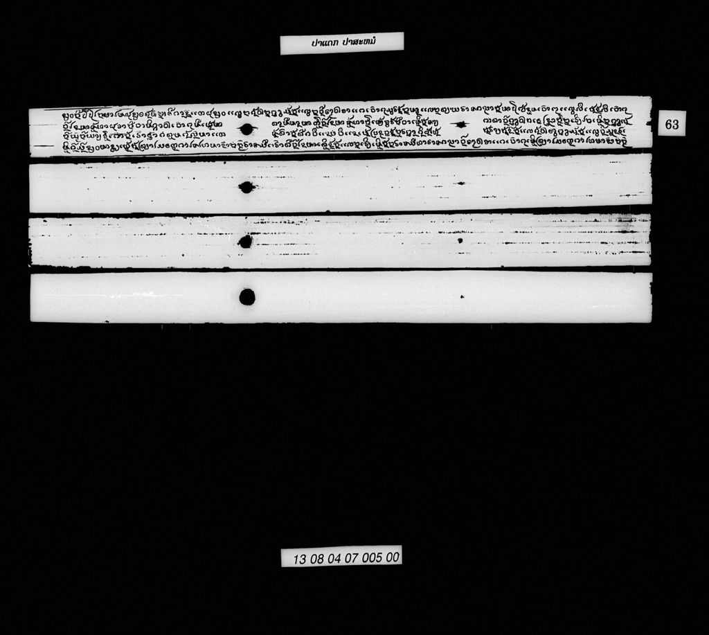 ປາແດກປາສະໝໍ