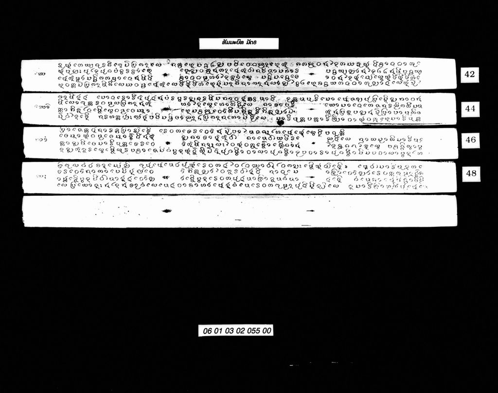 ທັມມະປະທະ ມັດ8