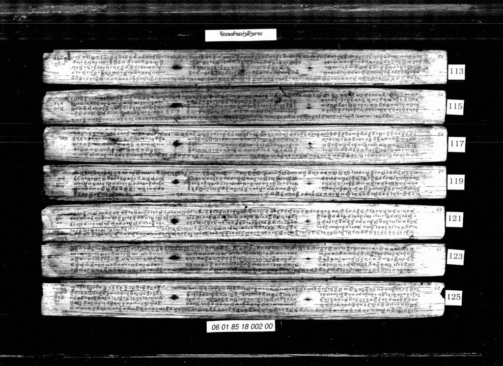 ຈັກກະທໍາແບ່ງສັງຂານ