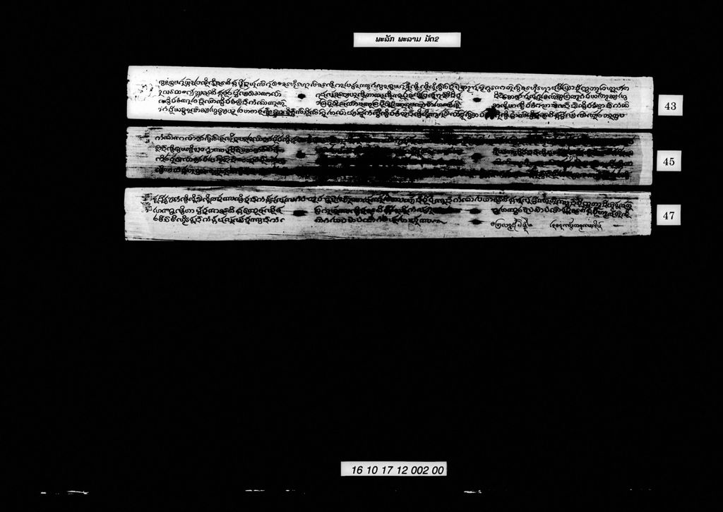 ພະລັກພະລາມ (ມັດ2)