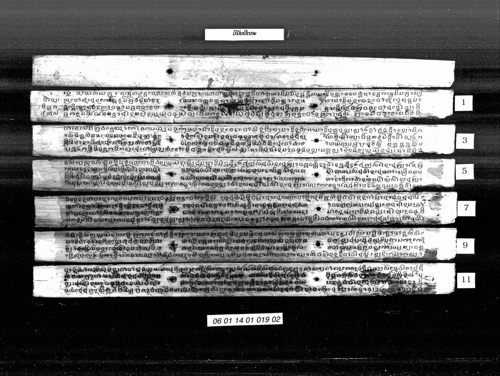 ວິນັຍປິຕກະ