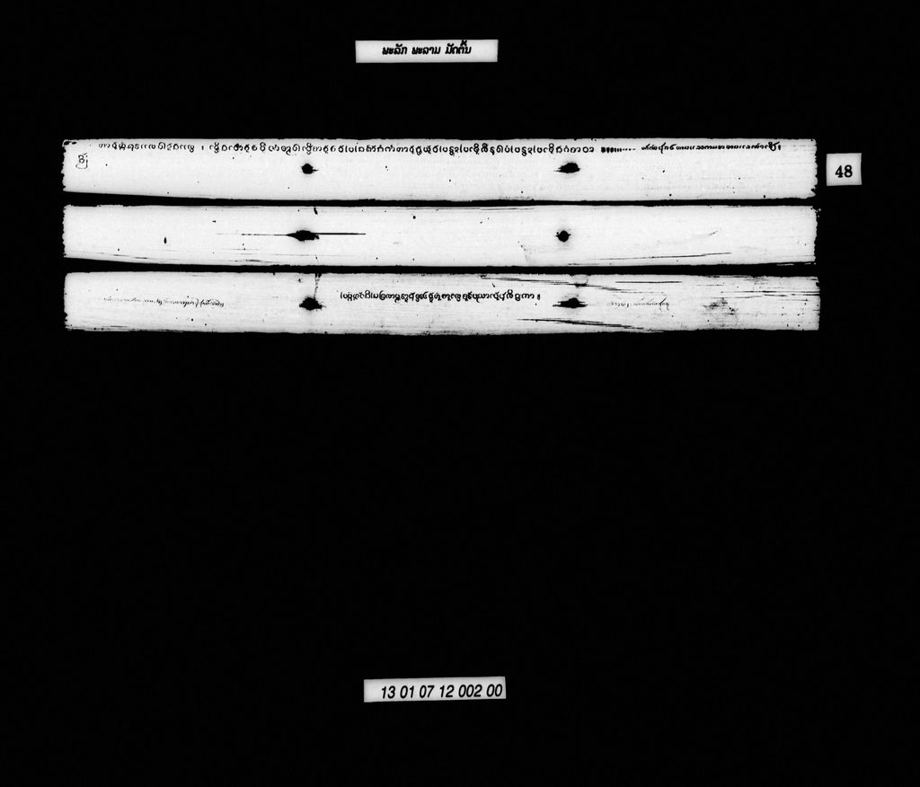 ພະລັກພະລາມ (ມັດຕົ້ນ)