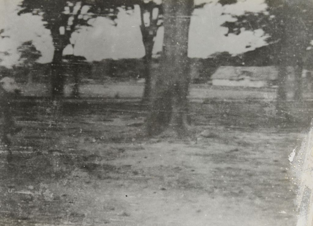 ຕົ້ນໄມ້ໃຫຍ່ ແລະ ອາຄານ