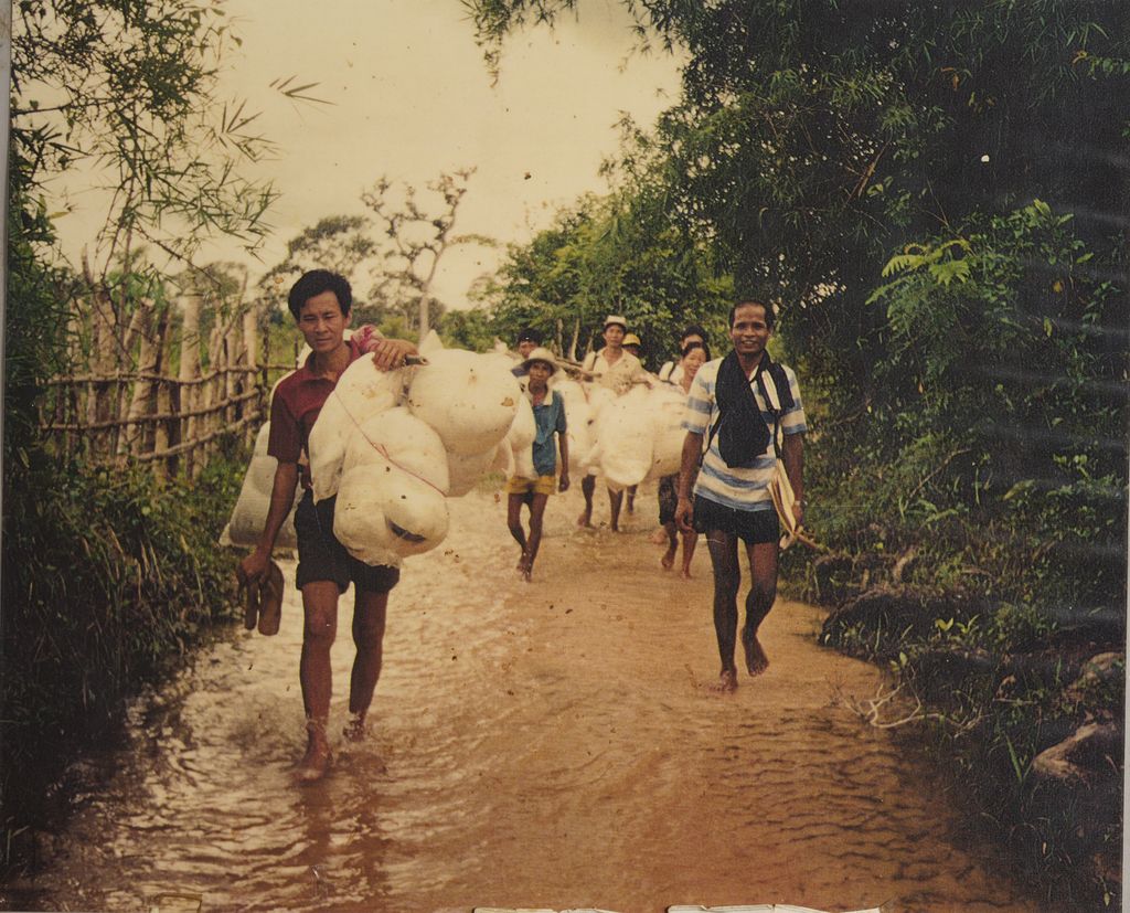ນຳພາປະຊາຊົນເອົາມູ້ງໄປຍ້ອມຢາ