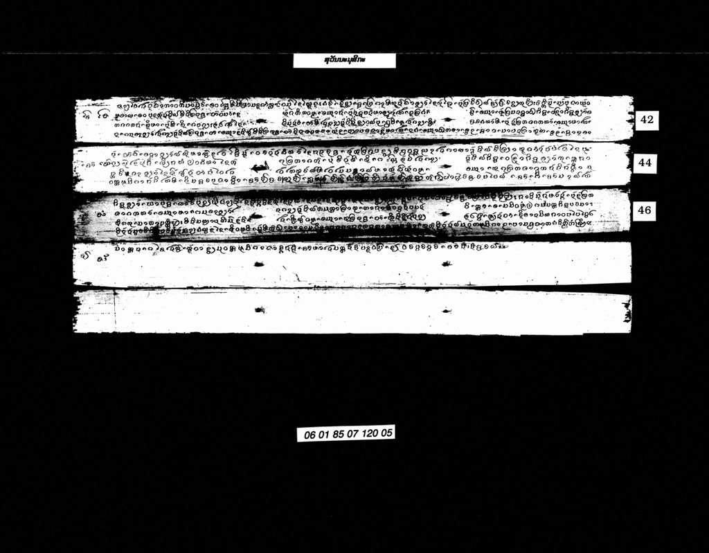 ສຸວັນນະມຸສິກະ