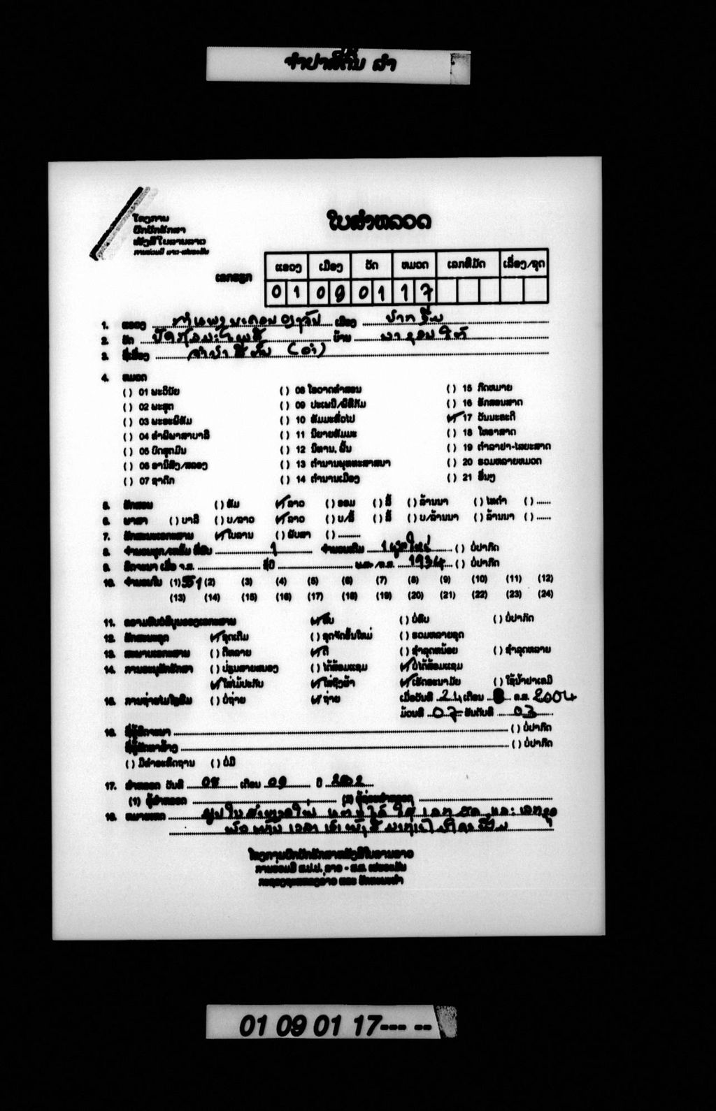 ຈຳປາສີ່ຕົ້ນ (ລຳ)