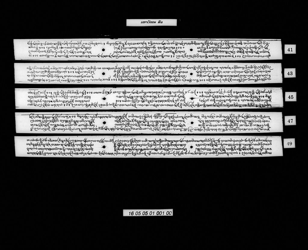 ມຫາວັຄຄະ (ສັພ)