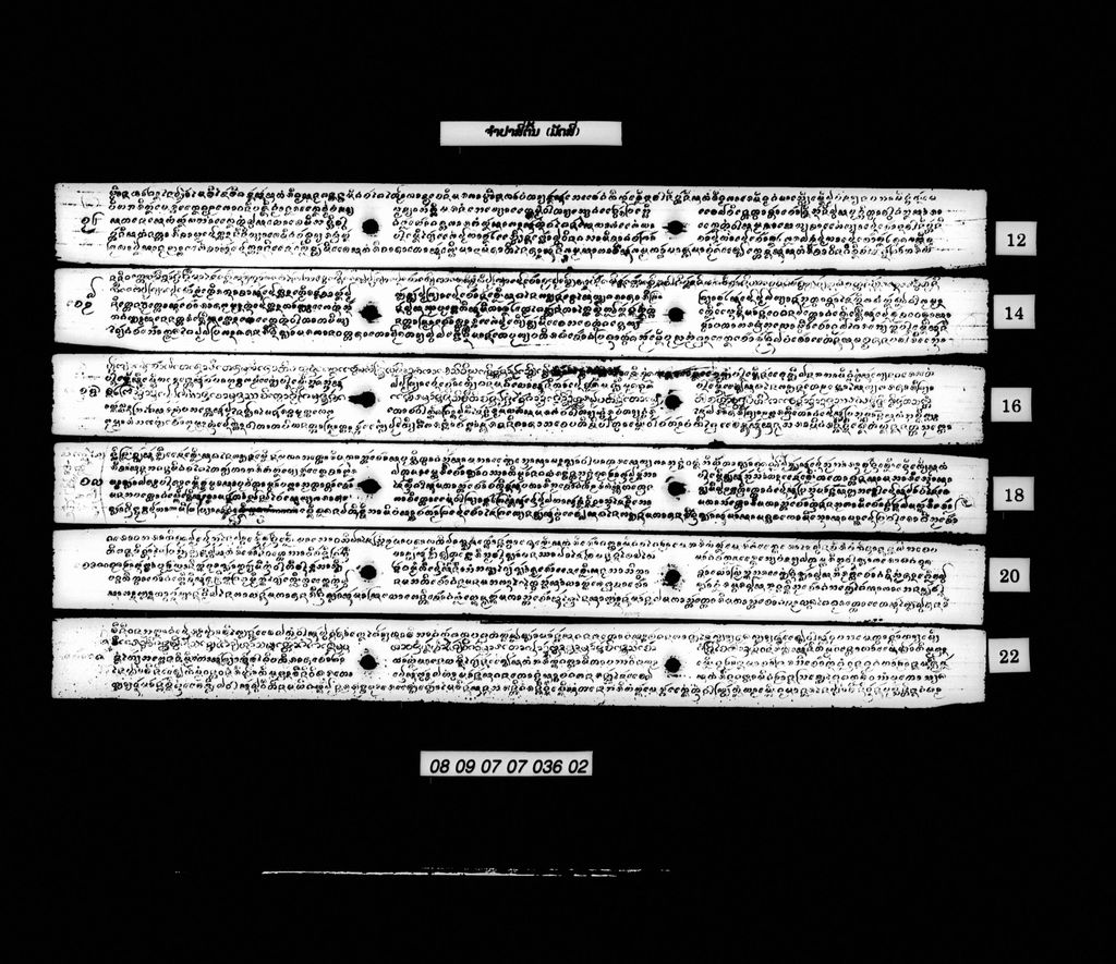 ຈຳປາສີ່ຕົ້ນ (ມັດ4)