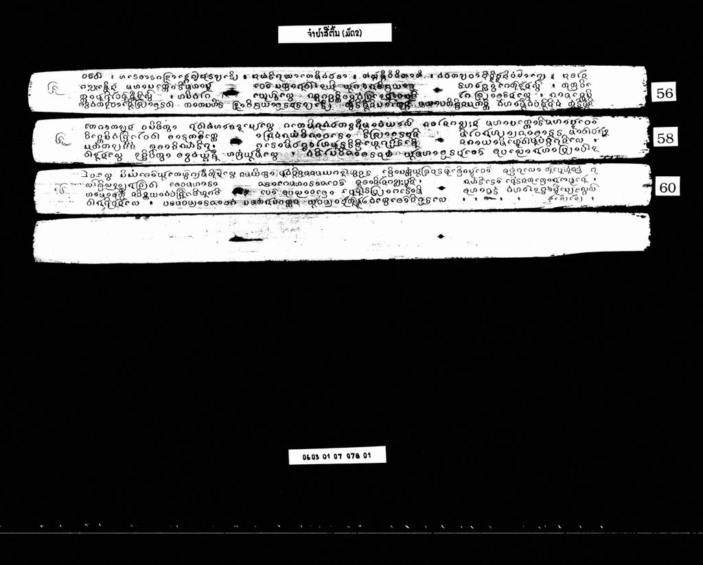 ຈຳປາສີ່ຕົ້ນ (ມັດ2)