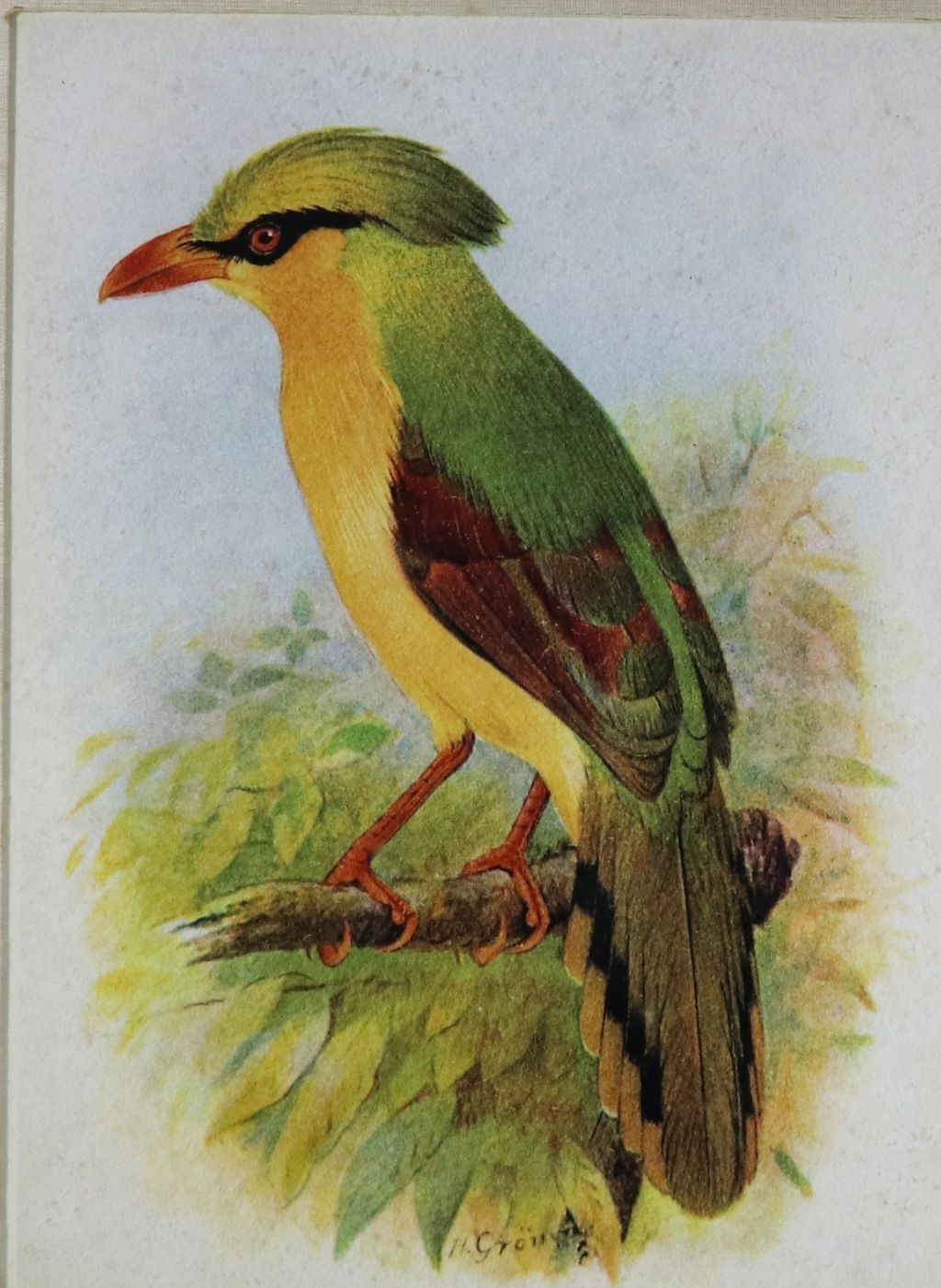 ຮູບ​ພ​າບສີ ຮູບນົກແຕ້ມດ້ວຍສີໂຕດຽວ ປີ 1927